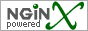 nginx-server